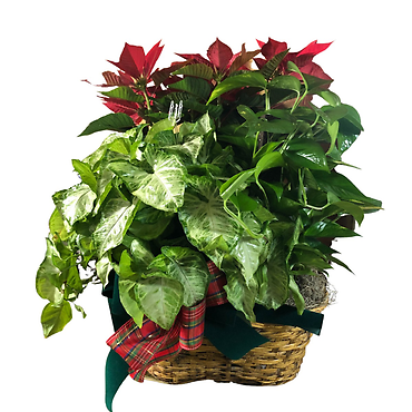 Christmas garden basket