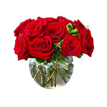 12 Short Stem Red Roses